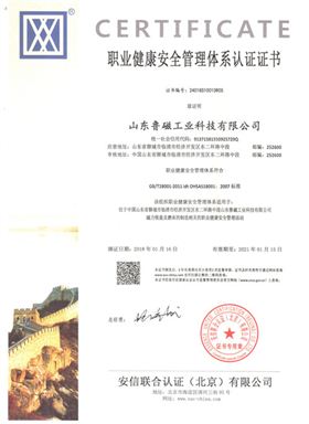 职业健康体系认证